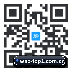 iPhone APP 二维码 | TOP1